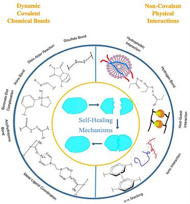 Advances in Synthesis and Applications of Self-Healing Hydrogels